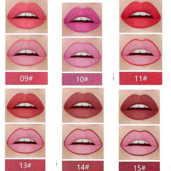 6 swatches of Missrose 2 in 1 Lipstick and Lipliner applied on lips.